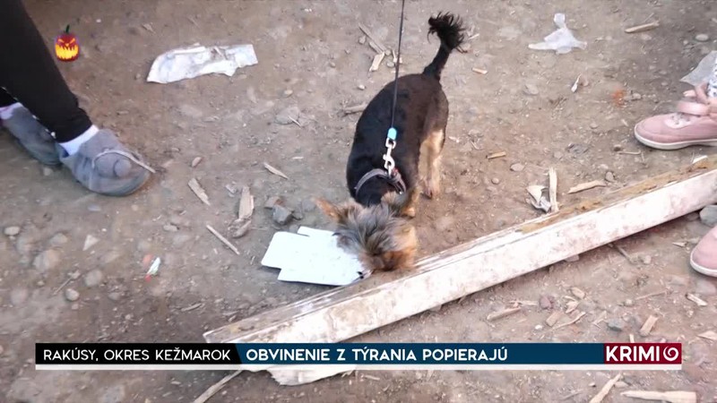 OBVINENIE Z TÝRANIA POPIERAJÚ