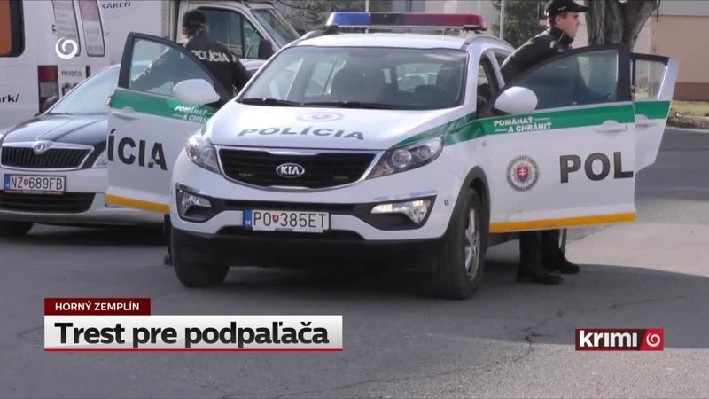 Trest pre podpaľača