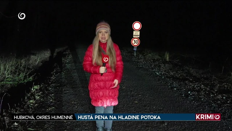 HUSTÁ PENA NA HLADINE POTOKA