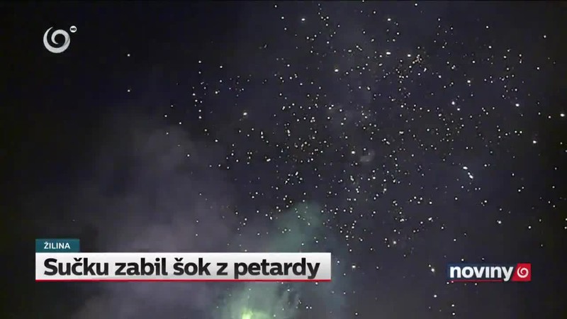 Sučku zabil šok z petardy