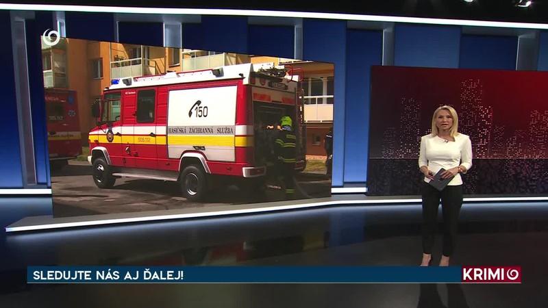 NEBEZPEČNÁ NÁVŠTEVA