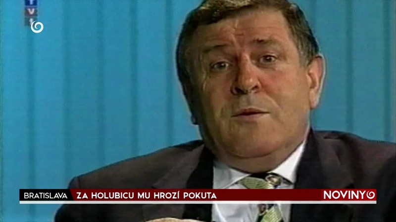 ZA HOLUBICU MU HROZÍ POKUTA