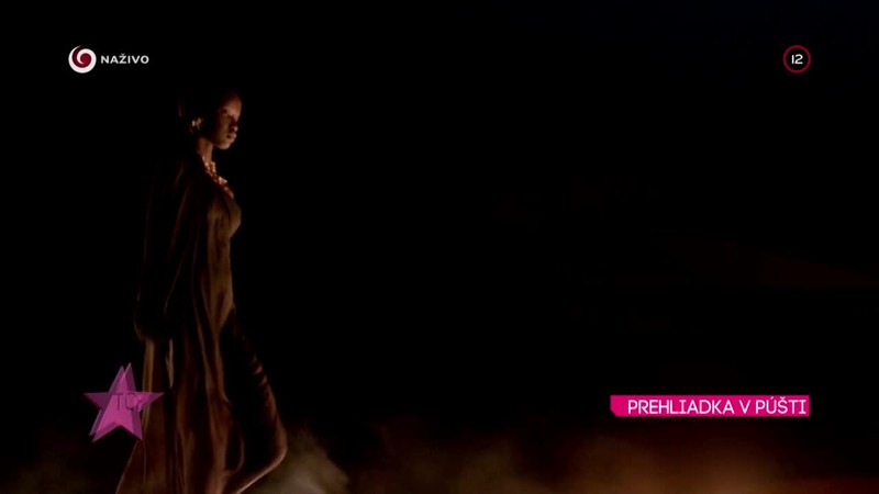 PREHLIADKA V PÚŠTI