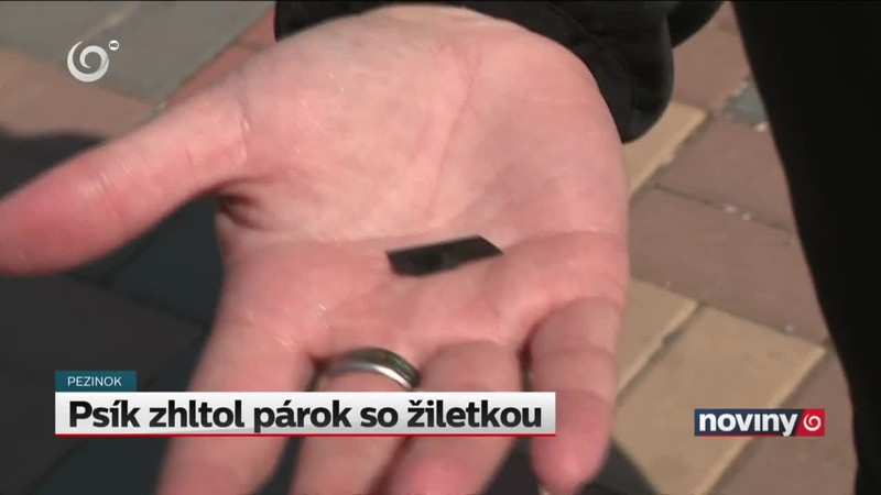 Psík zhltol párok so žiletkou