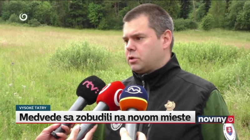 Medvede sa zobudili na novom mieste