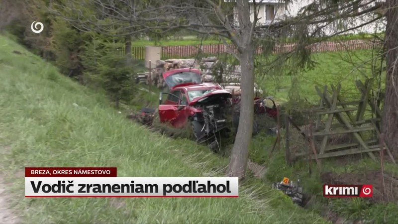 Vodič zraneniam podľahol