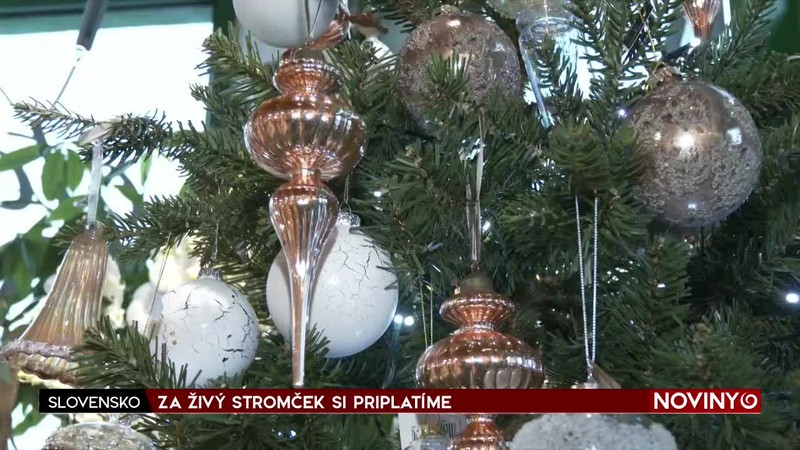 ZA ŽIVÝ STROMČEK SI PRIPLATÍME