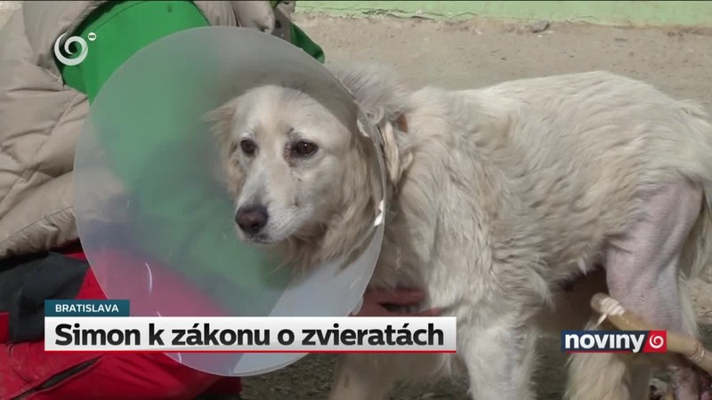 Simon k zákonu o zvieratách