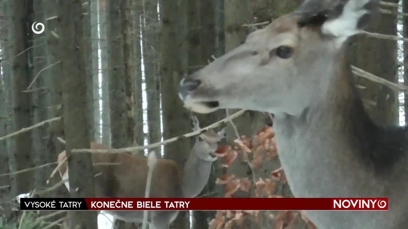 KONEČNE BIELE TATRY