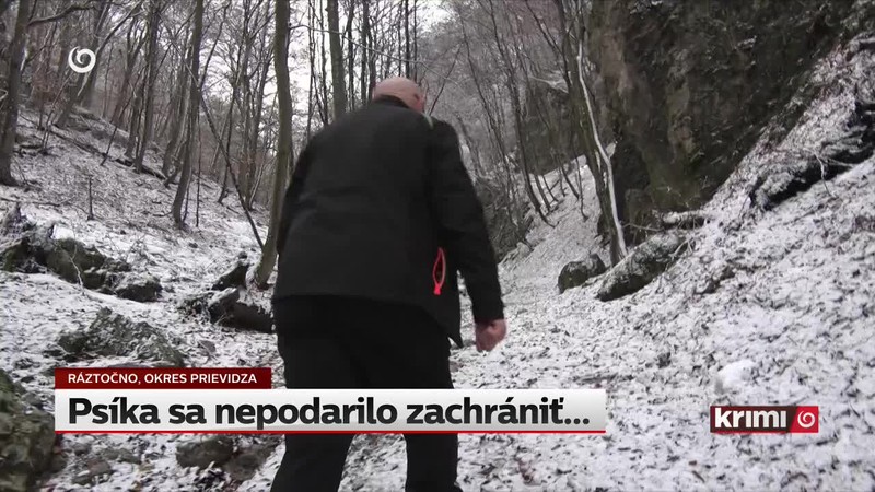 Psíka sa nepodarilo zachrániť...