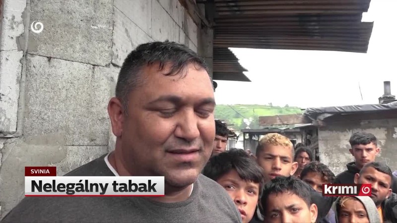 Nelegálny tabak