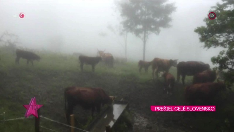 PREŠIEL CELÉ SLOVENSKO