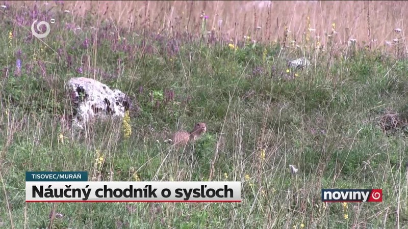 Náučný chodník o sysľoch