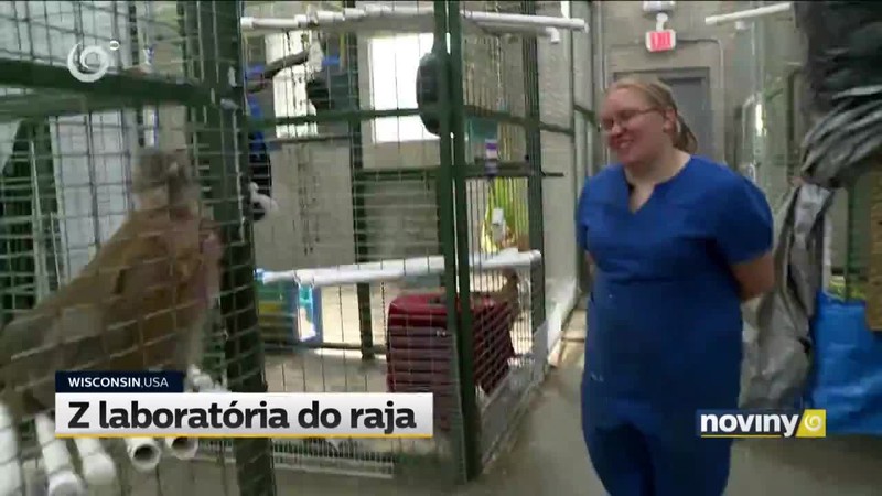 Z laboratória do raja