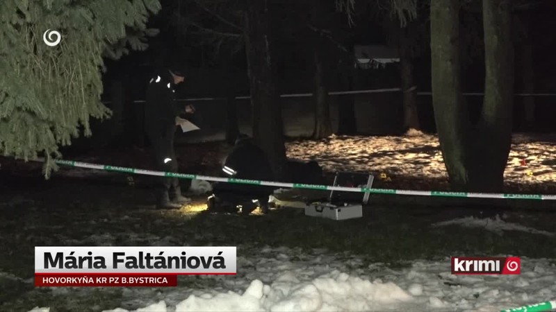 Záhadné smrteľné strelné poranenie