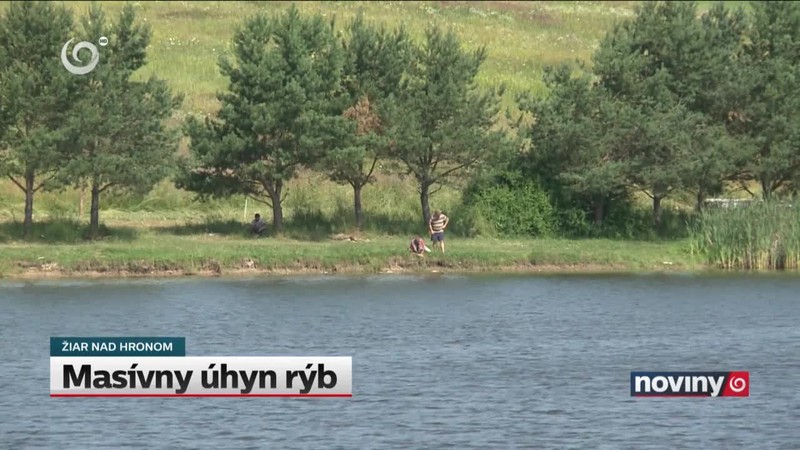 Masívny úhyn rýb