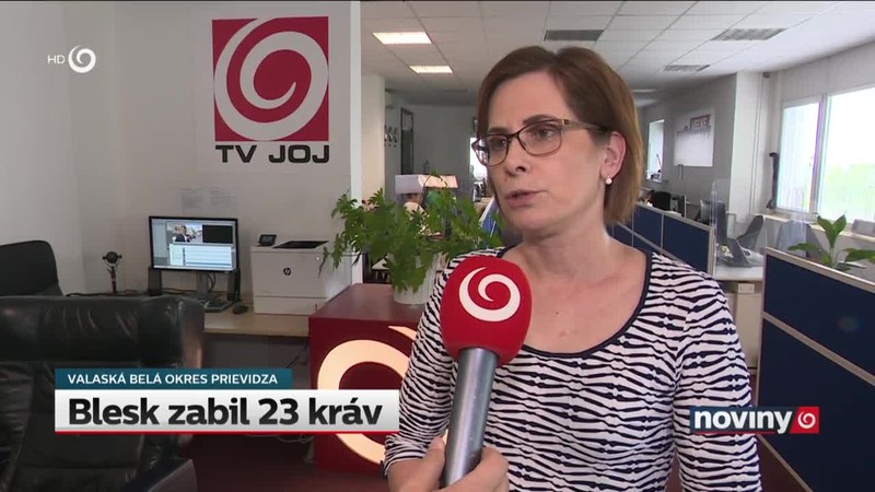 Blesk zabil 23 kráv