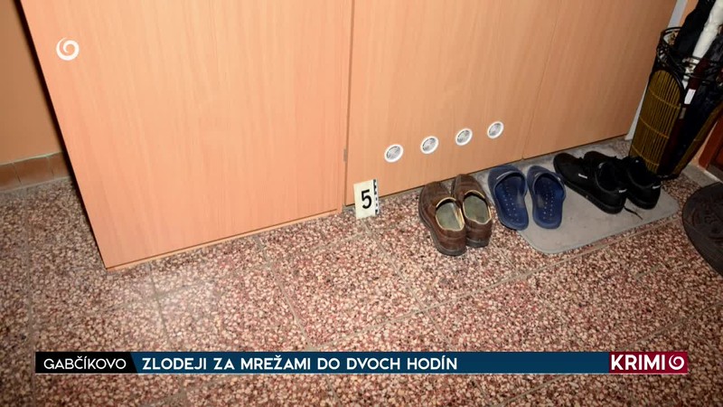 ZLODEJI ZA MREŽAMI DO DVOCH HODÍN