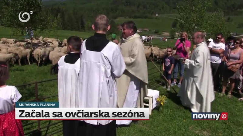 Začala sa ovčiarska sezóna