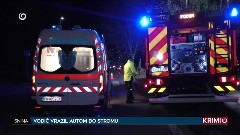 VODIČ VRAZIL AUTOM DO STROMU