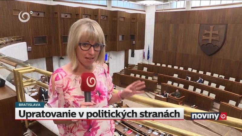 Upratovanie v politických stranách