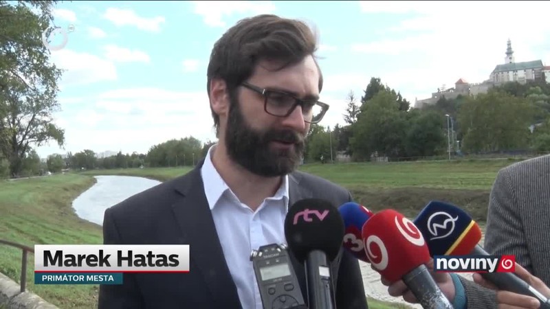 Strom spadol na deti