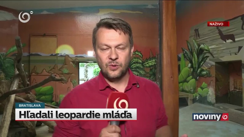 Hľadali leopardie mláďa