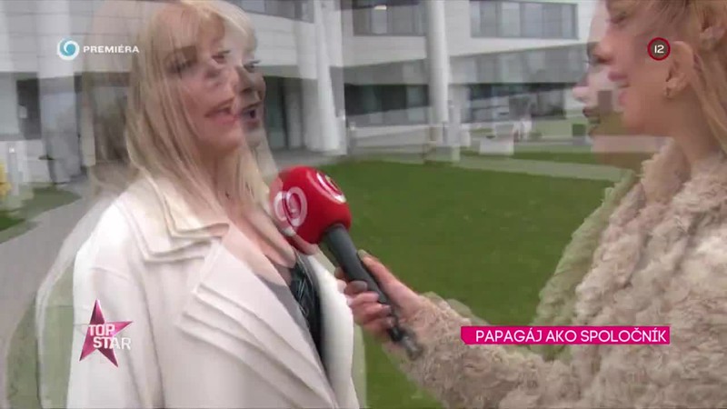 Papagáj ako spoločník