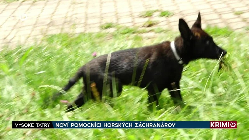 NOVÍ POMOCNÍCI HORSKÝCH ZÁCHRANÁROV