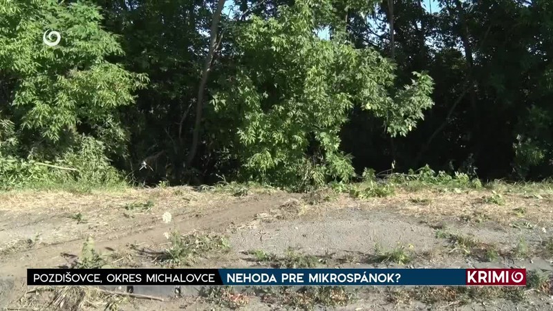 NEHODA PRE MIKROSPÁNOK?