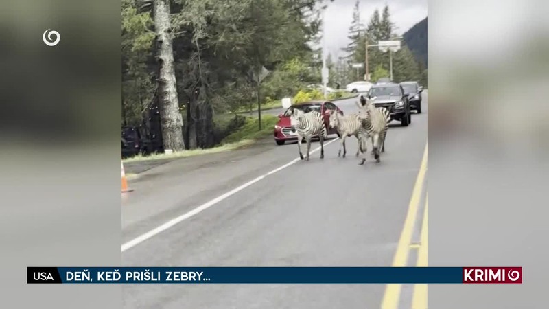 DEŇ, KEĎ PRIŠLI ZEBRY