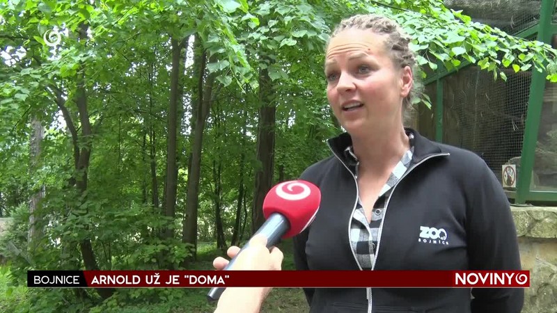 ARNOLD UŽ JE "DOMA"