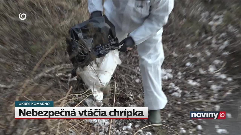 Nebezpečná vtáčia chrípka