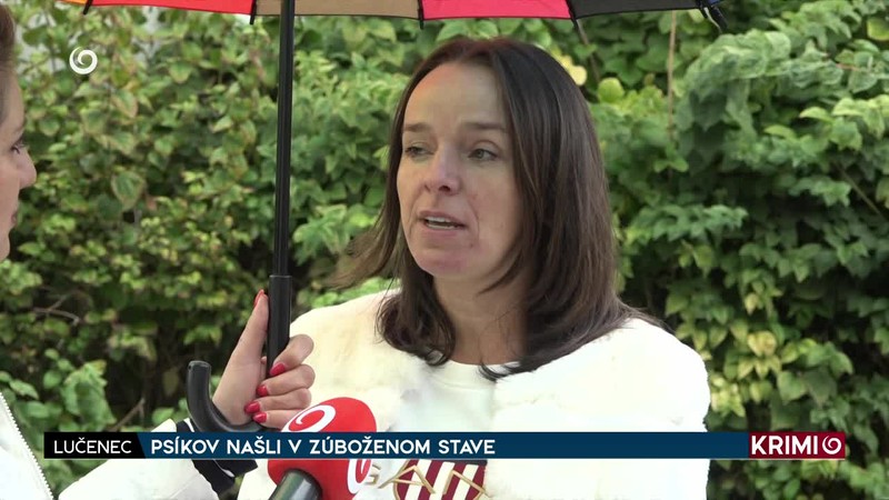 NARAZIL DO NÁVESU PRI CESTE