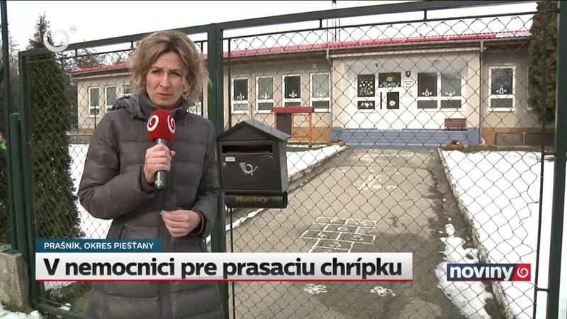 V nemocnici pre prasaciu chrípku