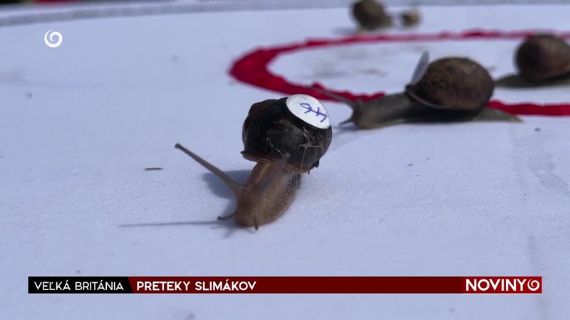 PRETEKY SLIMÁKOV