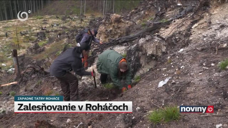 Zalesňovanie v Roháčoch