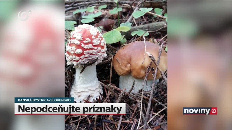 Nepodceňujte príznaky