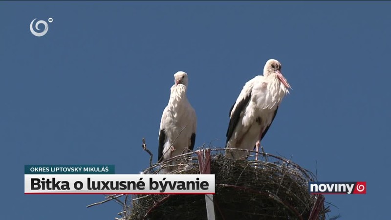 Bitka o luxusné bývanie