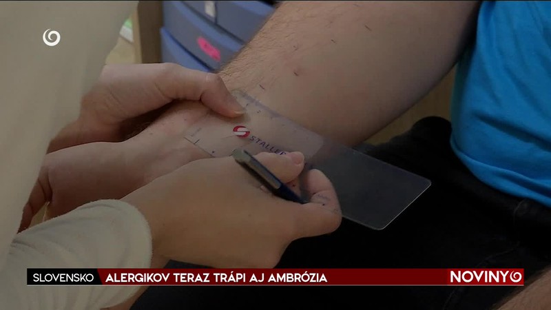 ALERGIKOV TERAZ TRÁPI AJ AMBRÓZIA