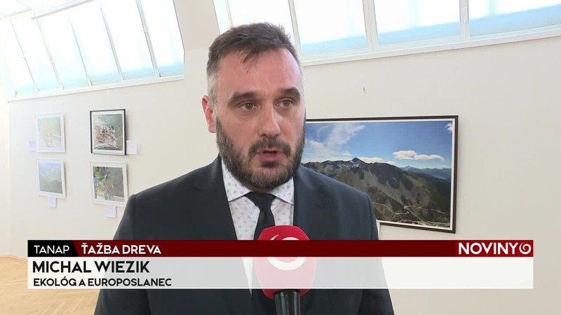 ŤAŽBA DREVA