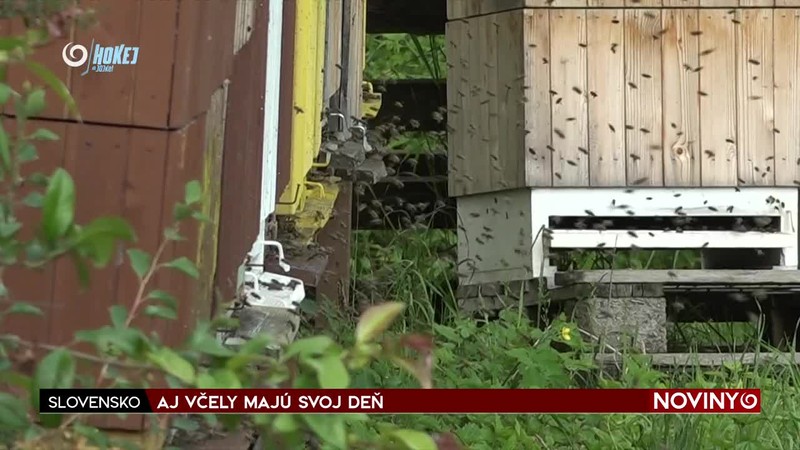 AJ VČELY MAJÚ SVOJ DEŇ