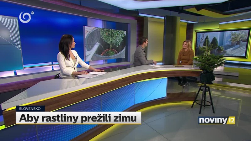 Aby rastliny prežili zimu