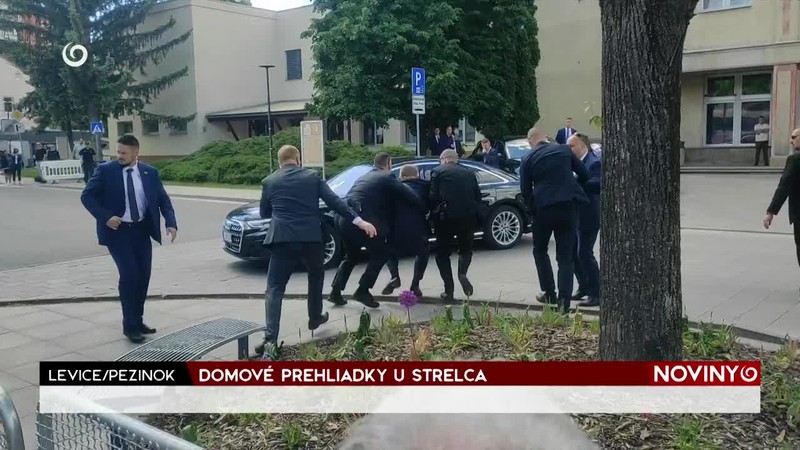 DOMOVÉ PREHLIADKY U STRELCA