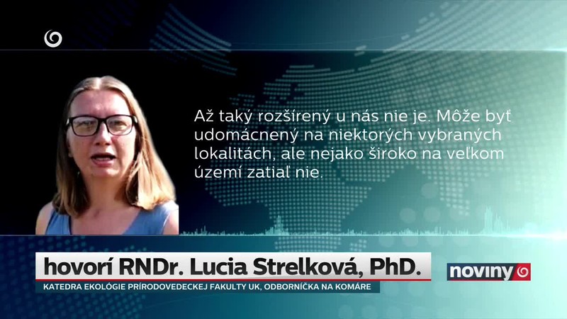 Nebezpečný komár aj na Slovensku