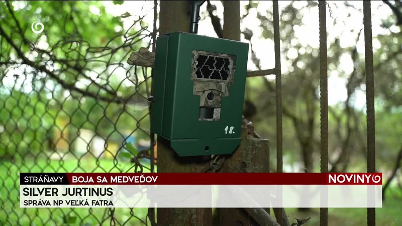 BOJA SA MEDVEĎOV