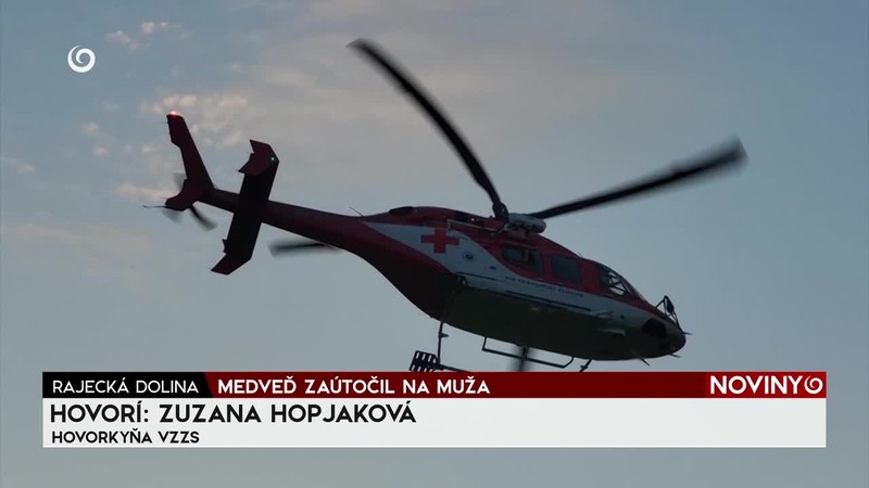 MEDVEĎ ZAÚTOČIL NA MUŽA