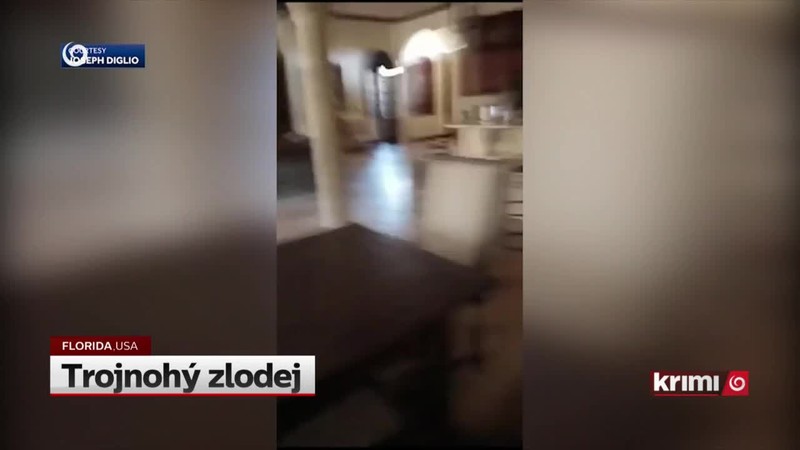 Trojnohý zlodej