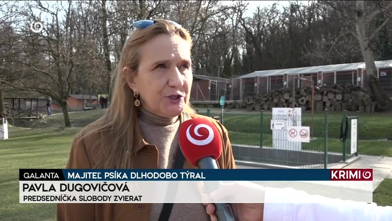 MAJITEĽ PSÍKA DLHODOBO TÝRAL