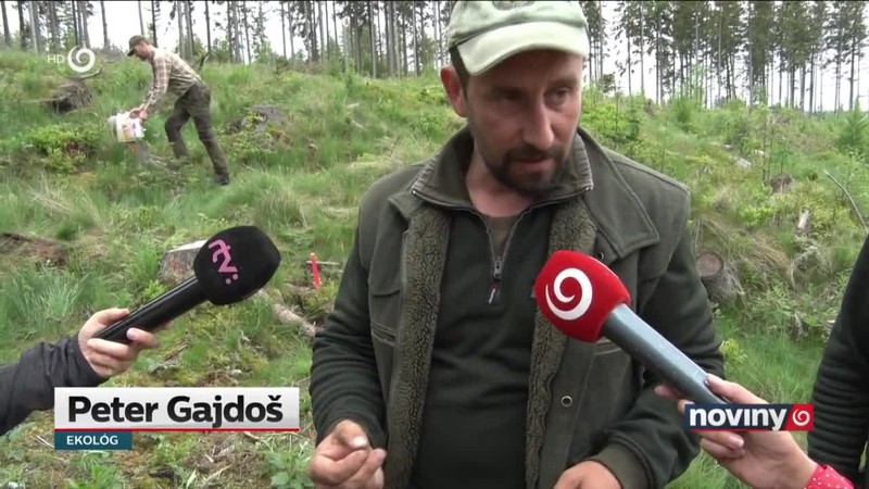 Lykožrútovi "pomáha" tvrdoň